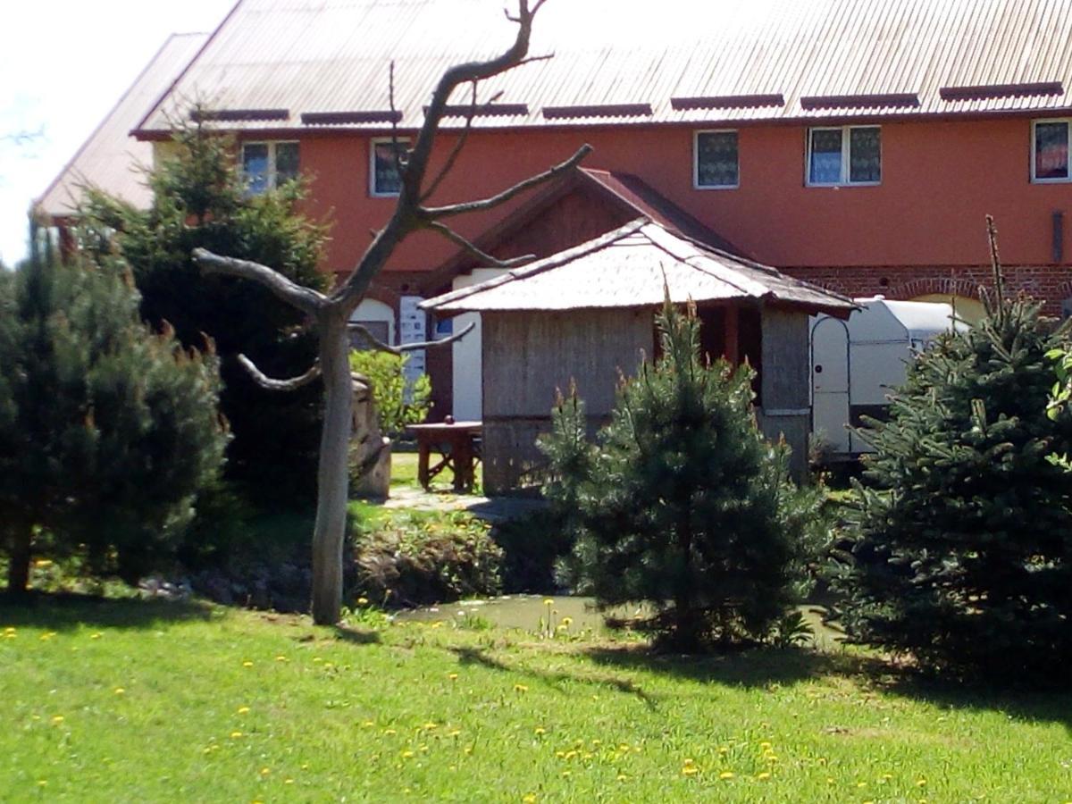 Agroturystyka Andrzejowka Czerniki Exteriér fotografie