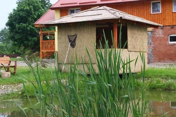 Agroturystyka Andrzejowka Czerniki Exteriér fotografie